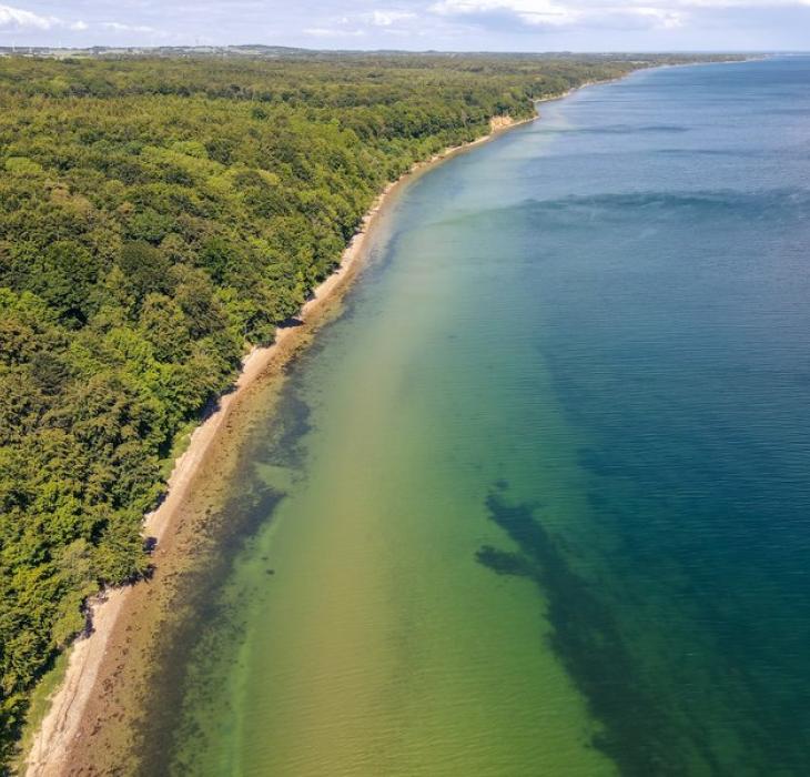 Ontdek het Staksrode Skov en Stenhoj Strand in Zuidoost Jutland in Denemarken